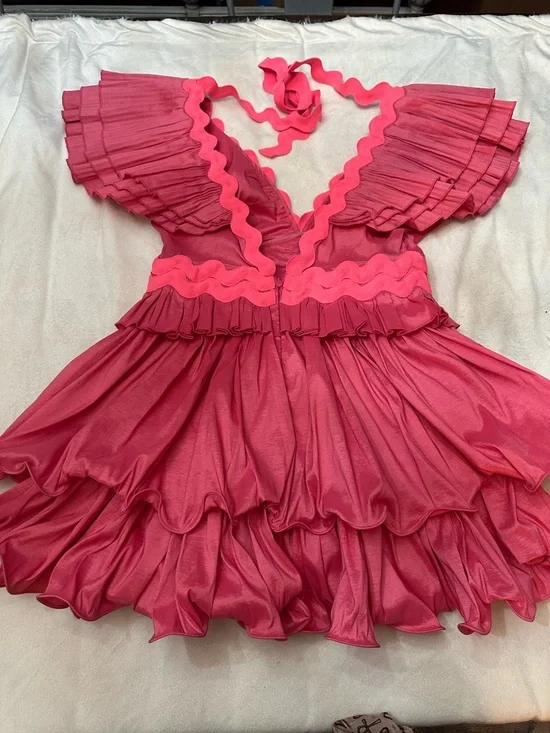 CeliaB Pink Prisma Ruffle Mini Dress Large barbiecore statement 38204 - Picture 8 of 11